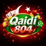 QAIDI804 Game